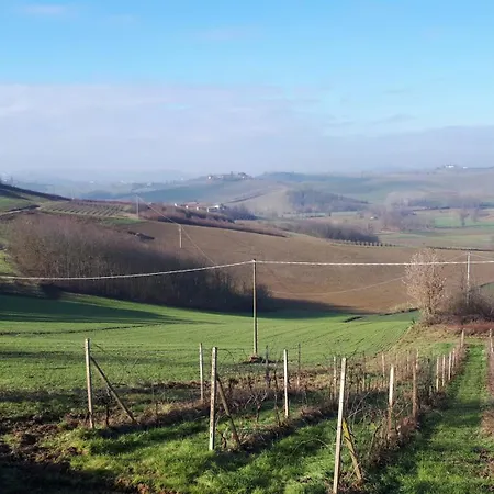 Monferrato Vini Castelli CastellʼAlfero