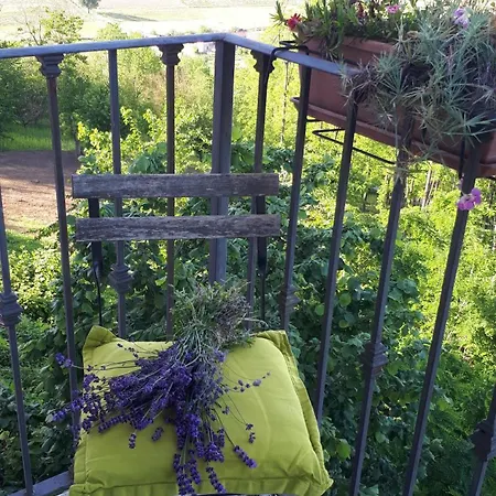 Monferrato Vini Castelli