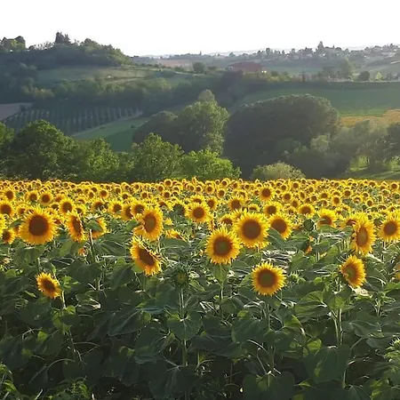 Monferrato Vini Castelli CastellʼAlfero