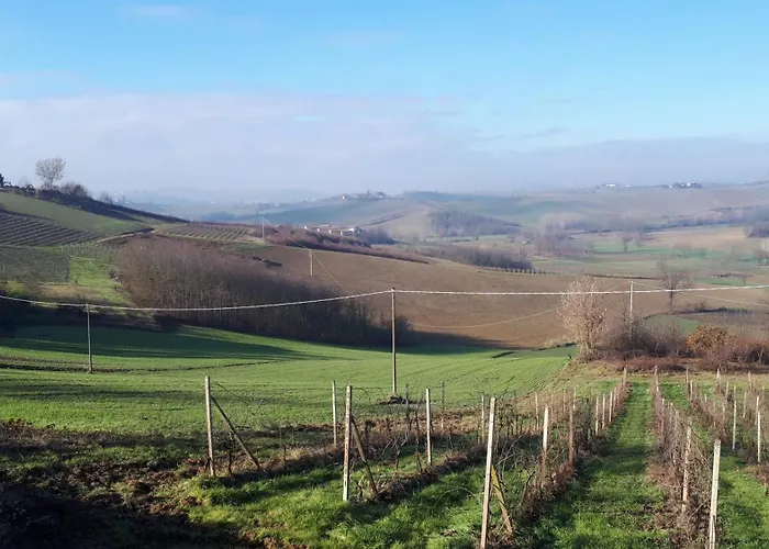 Monferrato Vini Castelli CastellʼAlfero