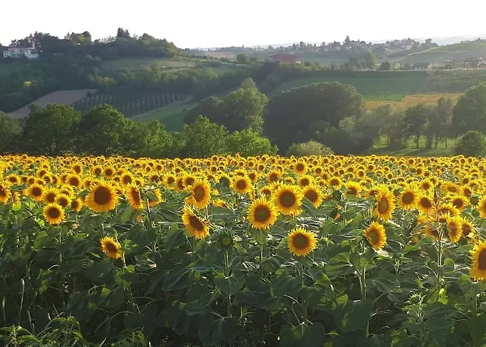 Monferrato Vini Castelli CastellʼAlfero